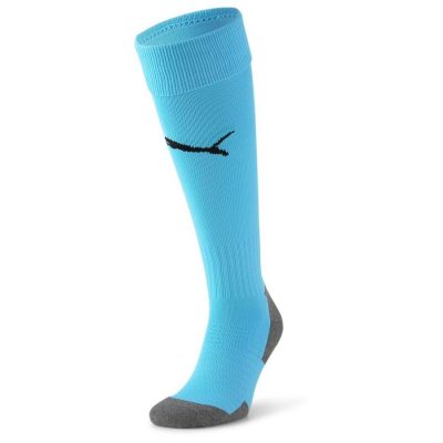 Team LIGA Socks CORE