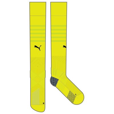 teamFINAL Socks