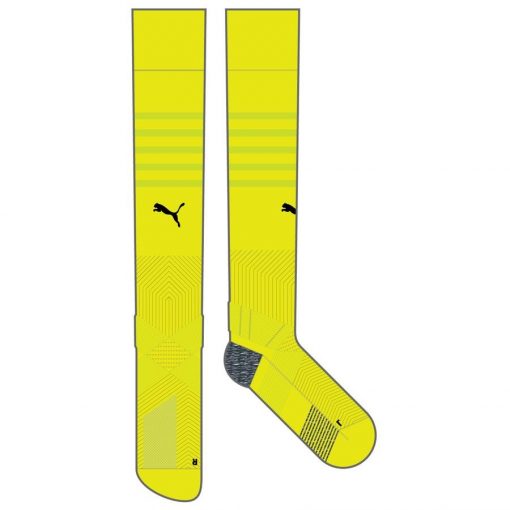 teamFINAL Socks