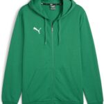 PUMA teamGOAL Casuals herenjack met capuchon, sweatshirt pullover 658595 groen