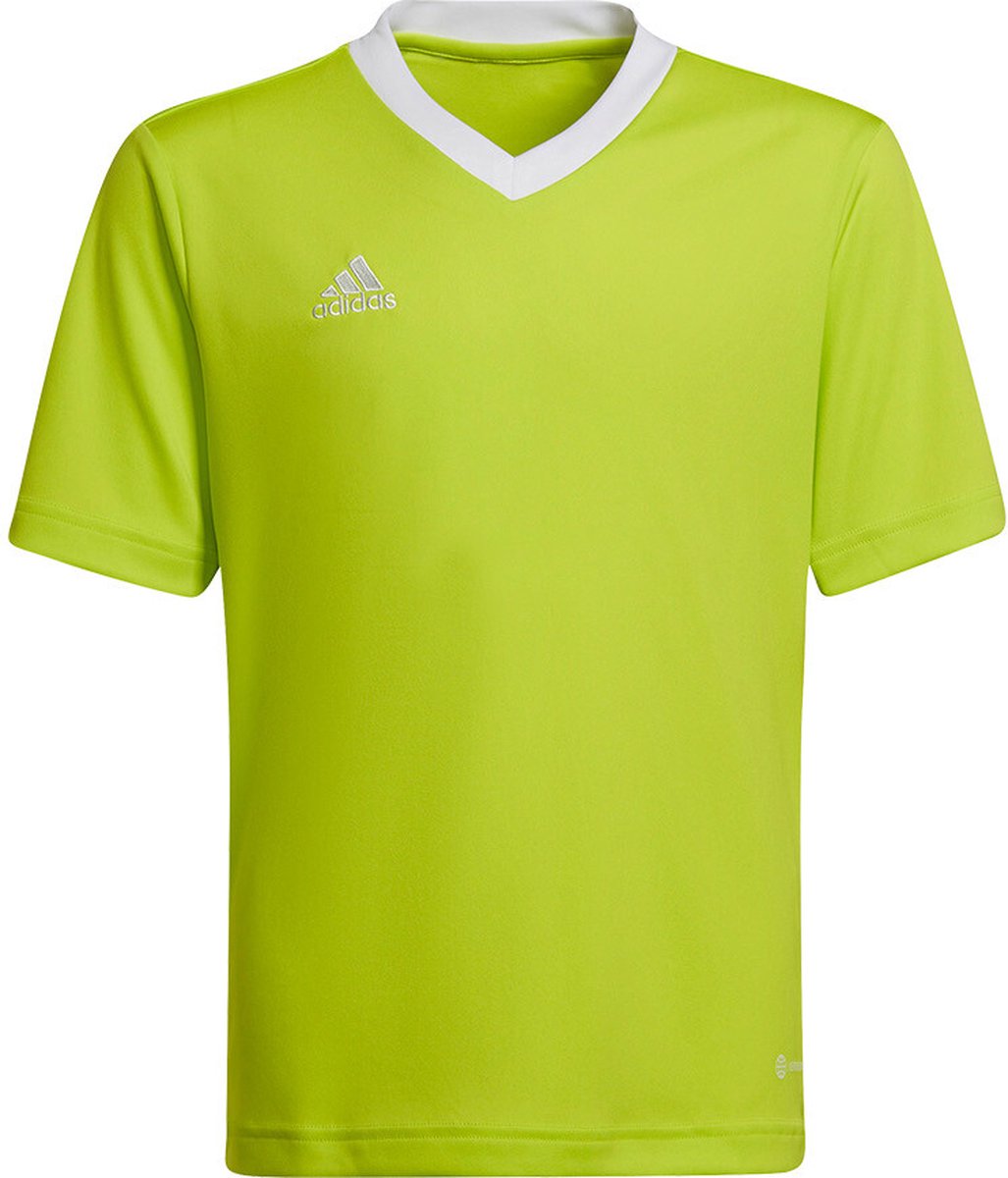 1027x1200-18 adidas - Entrada 22 Jersey Youth - Kids Groene Voetbalshirt -116 - Afbeelding 1