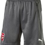 Puma Arsenal FC Trainingsshort  Trainingsbroek - Maat 140  - Unisex - grijs