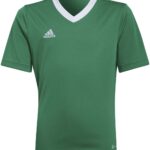adidas - Entrada 22 Jersey Youth - Groene Voetbalshirt -128
