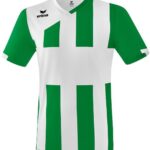 Erima Siena 3.0 Shirt Korte Mouw Heren - Smaragd / Wit | Maat: M