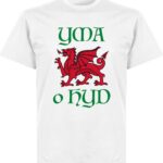 Wales Yma O Hyd Kinderen T-Shirt - Wit - Kinderen - 128
