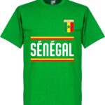 Senegal Team T-Shirt - XL