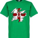 Noord Ierland Ripped Flag T-Shirt - Groen - S