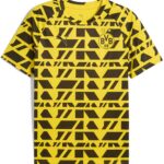 Puma Bvb Borussia Dortmund 25/26 Voor De Wedstrijd T-shirt Met Korte Mouwen Geel XL Man
