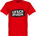 Cofiwch Dryweryn Wall T-Shirt - Rood - 3XL
