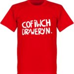 Cofiwch Dryweryn T-Shirt - Rood - L