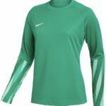 Nike Team Sweater Dames Dri-FIT Park V Stadium Groen - Maat M