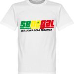 Senegal Fan T-Shirt - L