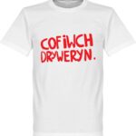 Cofiwch Dryweryn T-Shirt - Wit - 5XL