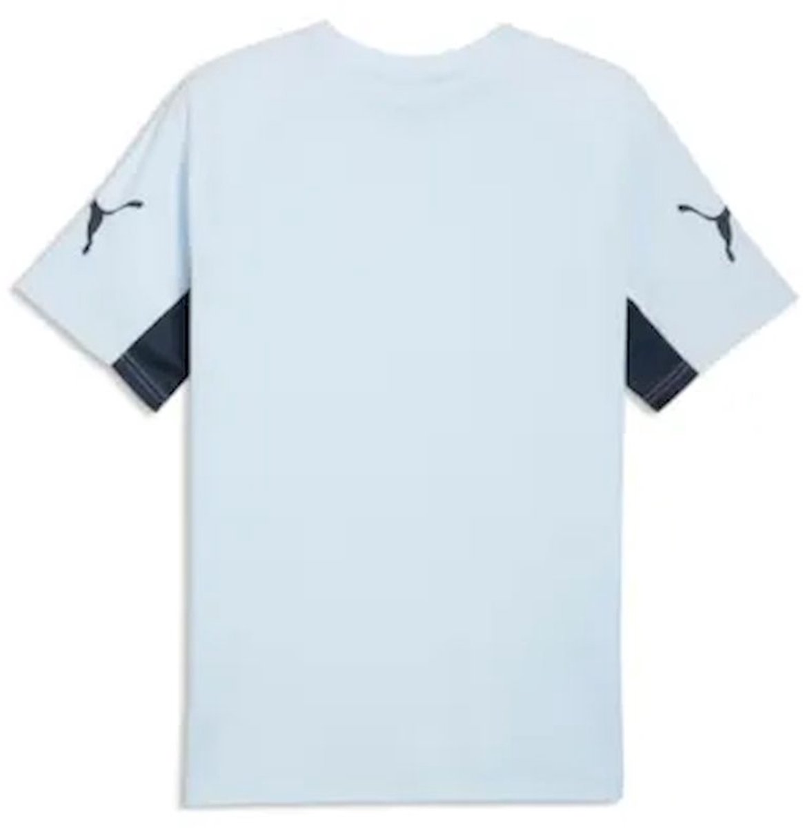1164x1200-21 PUMA - individualliga jersey - Voetbalshirt korte mouw heren - Blauw - Afbeelding 1