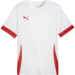 Puma TeamGOAL Matchday Shirt Heren - Maat M