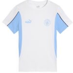 Puma Manchester City Fc Football Archive T-shirt Met Korte Mouwen Wit S Man