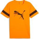 Puma Attacanto Logo T-shirt Met Korte Mouwen Oranje 2XL Man