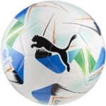 Puma Cumbre Conmebol Libertadores Ms Voetbal Wit 5