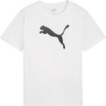 Puma teamRISE Logo Cotton Shirt Junior - Maat 164