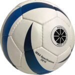 Rinkelvoetbal Indoor ISBA Approved, Maat 4, Rinkelbal indoor