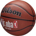Wilson Jr NBA Fam Logo Auth In Out Ball, Unisex, Bruin, basketbal, maat: 7