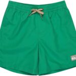Quiksilver Everyday Volley 14´´ Zwembroek Groen 8 Years Jongen