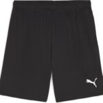 PUMA teamGOAL Shorts Heren sportbroek - Puma Black-Puma White