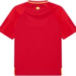 Spanje Voetbalshirt Heren - Maat L - Voetbalkleding - RFEF - Volwassenen - 100% Polyester