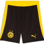 Puma Bvb Borussia Dortmund Replica Korte Broek Geel XL Man