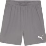 PUMA teamGOAL Shorts Heren sportbroek - Cast Iron-PUMA White