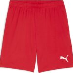 PUMA teamGOAL Shorts Heren sportbroek - Puma Red-Puma White