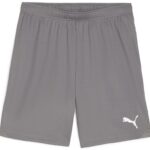 Puma Sport Shorts TeamGoal Shorts 705752 Cast Iron-Puma White-3XL