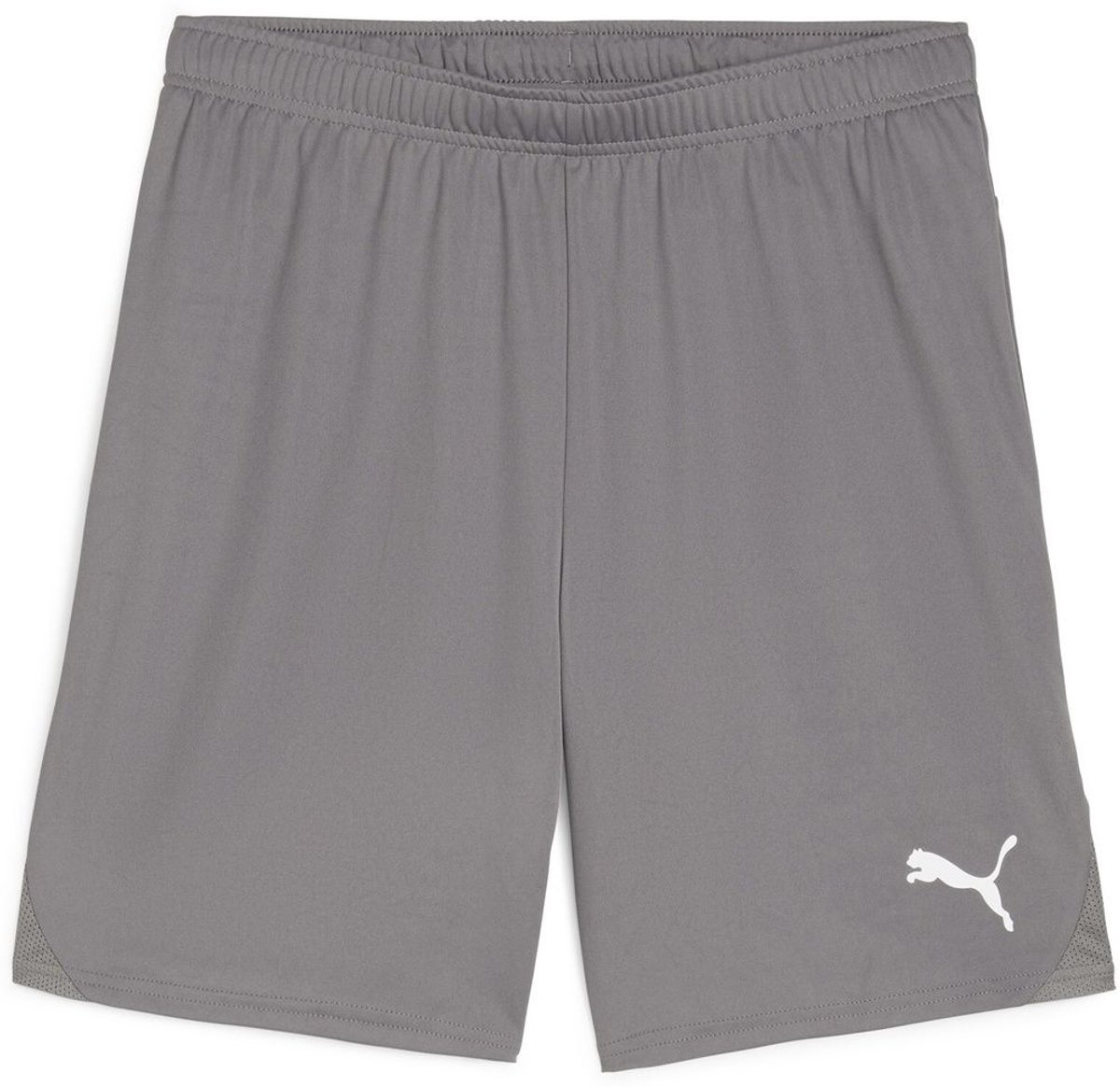 1200x1164-10 Puma Sport Shorts TeamGoal Shorts 705752 Cast Iron-Puma White-3XL - Afbeelding 1