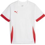 Puma TeamGOAL Matchday Shirt Junior - Maat 128