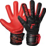 Reusch Torwarthandschuhe Attrakt Freegel Silver NC Junior