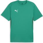 PUMA teamGOAL Jersey Heren Sportshirt - Sport Green-PUMA White-Power Green