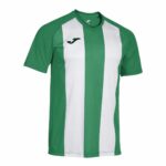 Joma Inter Iv T-shirt Met Korte Mouwen Groen,Wit 12-14 Years Jongens