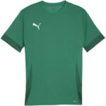 PUMA teamGOAL Matchday Jersey Heren Sportshirt - Sport Green-PUMA White-Power Green
