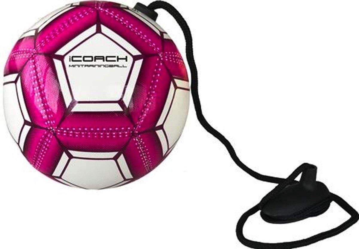 1200x833-2 Sportec Icoach Mini Trainingsbal 2.0 Roze - Afbeelding 1