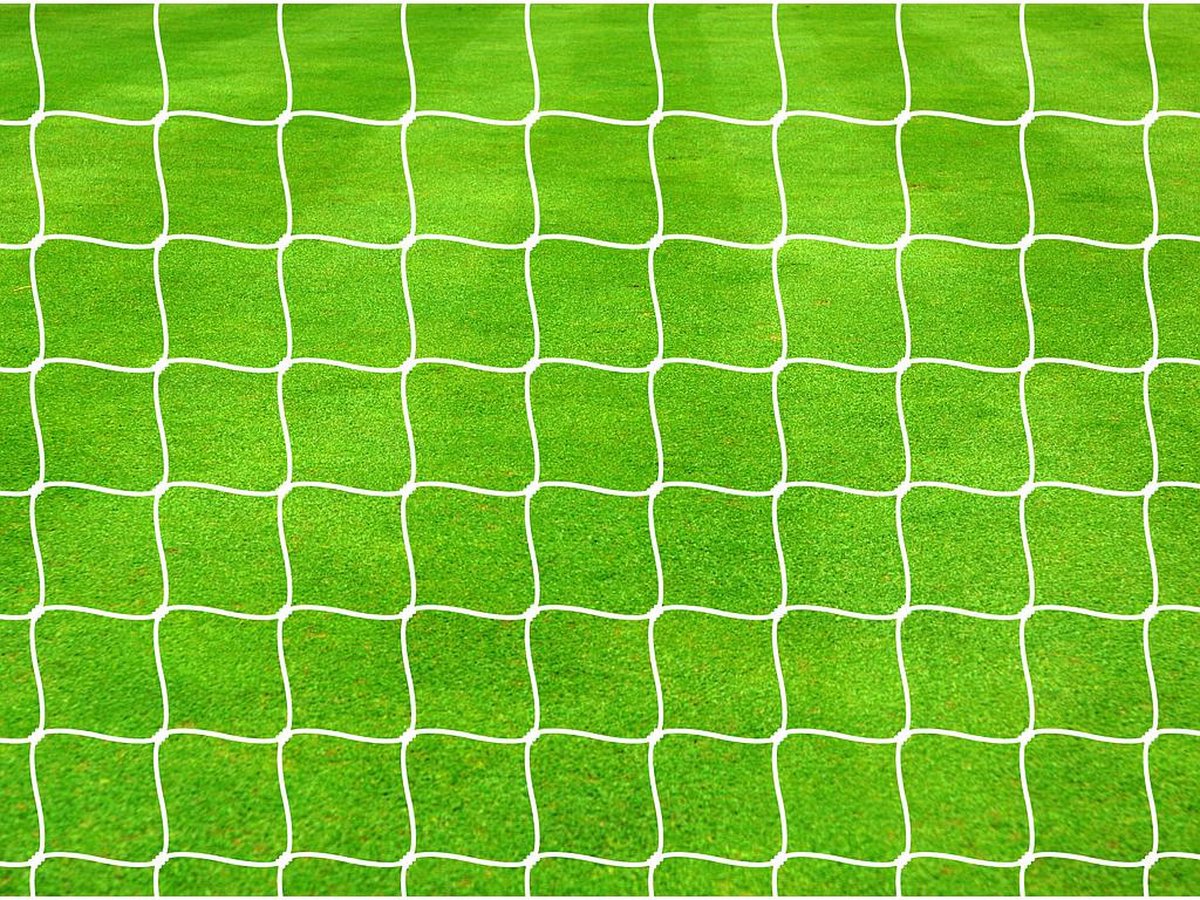 1200x900-5 Precision Voetbaldoelnet 732 X 244 Cm 2,5 Mm Polypropyleen Wit - Afbeelding 1