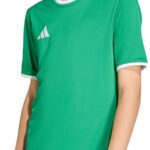 adidas T-shirt Kinderen Entrada 26 Jersey Groen - Maat 116cm