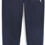 Puma Sporthose TeamGoal Training Pant 658639 Puma Navy-Puma White-Persian Blue-M