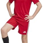Adidas Campeon 25 T-shirt Met Korte Mouwen Rood 15-16 Years Jongens,Meisjes