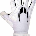 Ho Soccer Ssg Legend Ergo Gecko Keepershandschoenen Wit 6