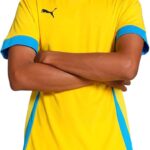Puma TeamGOAL Matchday Shirt Heren - Maat L