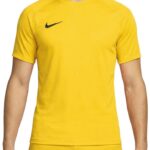 Nike Dri-FIT Park VIII SS Shirt Heren - Maat L