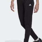 adidas Performance Entrada 22 Training Broek - Dames - Zwart- 2XL