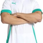 Puma TeamGOAL Matchday Shirt Heren - Maat L