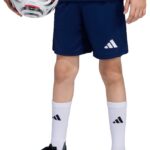 Adidas Performance Entrada26 Training Short Kids - Kinderen - Blauw