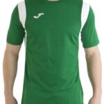 Joma Dinamo T-shirt Met Korte Mouwen Groen 2XL-3XL Man
